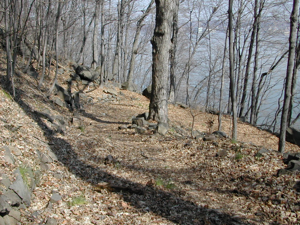(Photo of The Huyler Landing Rod)